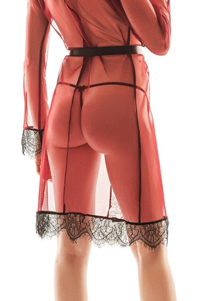 画像6: FLORELLA robe  | シースルーガウン・アイラッシュレース・レッド×ブラック | Anais アナイス センシュアルランジェリー (6)