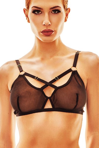 画像3: SPECIAL set  | ソフトブラ&ガーターリング付きショーツ2点セット・シースルー・ブラック | Anais アナイス センシュアルランジェリー (3)