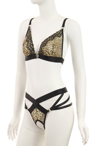 画像8: Izaro set  | ソフトブラ&オープンクロッチタンガ2点セット・ノンワイヤー・レオパード柄×ブラック | Anais アナイス センシュアルランジェリー (8)