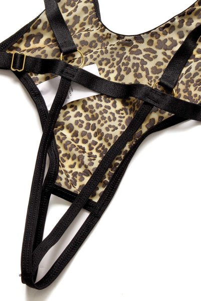 画像16: Lucky teddy  | テディ・ノンワイヤー・レオパード柄・ストラッピー | Anais アナイス センシュアルランジェリー (16)