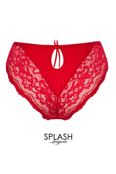 画像6: V-7593  | ノーマルショーツ・透けレース・カットアウト | Axami アクサミ (6)