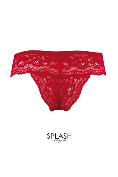 画像6: V-9535  | ブラジリアンショーツ・総レース | Axami アクサミ (6)