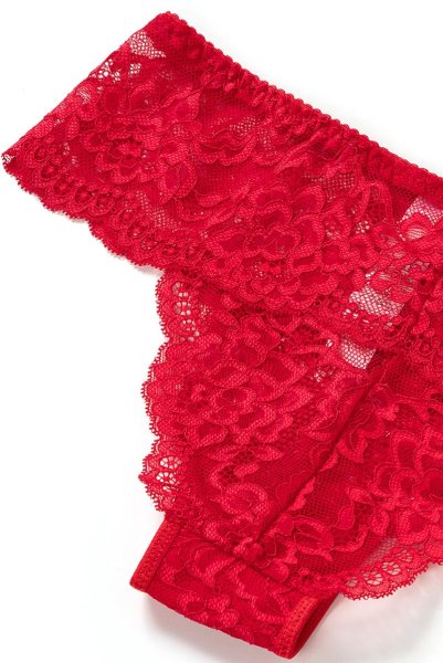 画像13: V-9535  | ブラジリアンショーツ・総レース | Axami アクサミ (13)