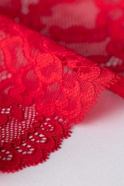 画像16: V-9535  | ブラジリアンショーツ・総レース | Axami アクサミ (16)