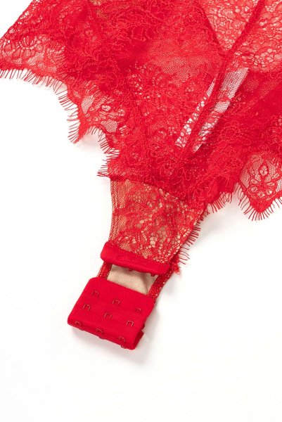 画像13: V-9590 | テディ・ボディ・シースルー・アイラッシュレース | AxamiSexy アクサミセクシー (13)