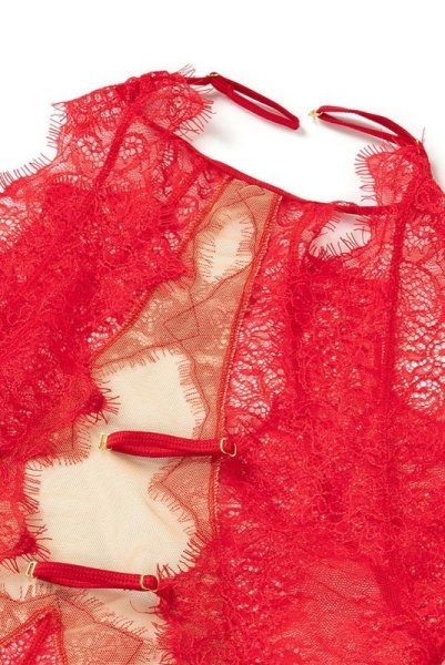 画像14: V-9590 | テディ・ボディ・シースルー・アイラッシュレース | AxamiSexy アクサミセクシー (14)