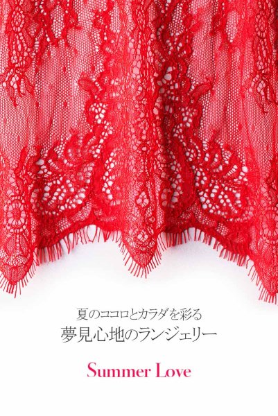 画像17: V-9589  | フレンチスリーブ風のベビードール&タンガ2点セット・アイラッシュレース | Axami アクサミ| 輸入下着・高級ランジェリー   (17)