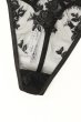画像13: V-11048｜タンガ(Tバック)・ ブラック｜Axami アクサミ【サイズ交換NG・メール便対象】 輸入下着・高級ランジェリー  (13)