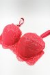 画像8: V-12011｜プッシュアップブラ・ コーラルレッド｜Axami アクサミ【サイズ交換OK】輸入下着・高級ランジェリー  (8)