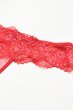 画像12: V-11908｜タンガ(Tバック)・コーラルレッド｜Axami アクサミ【サイズ交換NG・メール便対象】 輸入下着・高級ランジェリー  (12)