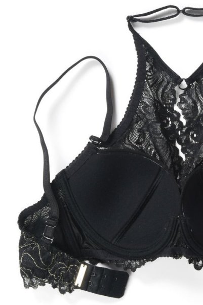 画像6: V-8261 | ホルターネックブラ・セミソフト・バラ柄・ストラップ取り外しOK | AxamiSexy アクサミセクシー| 輸入下着・高級ランジェリー   (6)