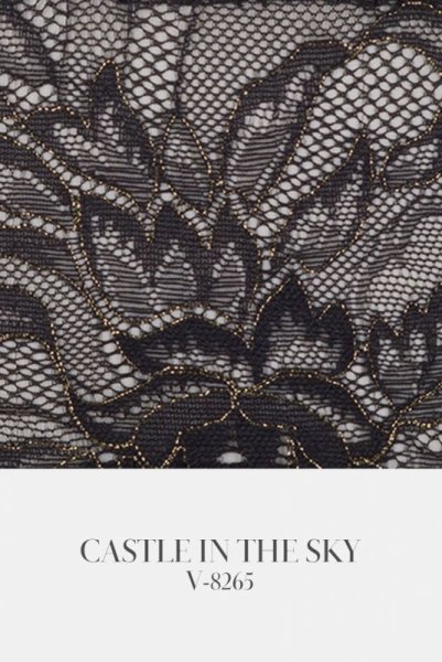 画像9: V-8265 | ブラジリアンタンガ・総レース・バラ柄 | AxamiSexy アクサミセクシー (9)