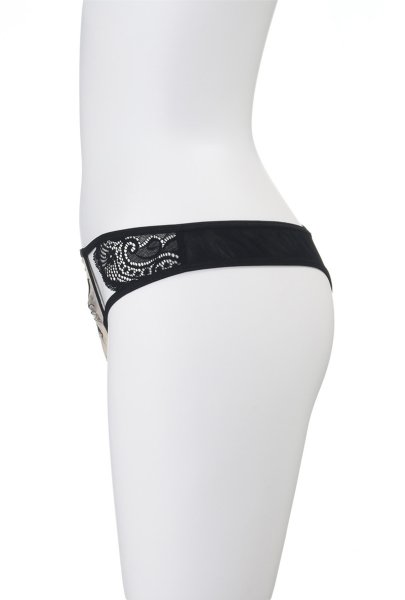 画像10: V-9008 | タンガ・Tバック・フロント刺繍 | AxamiSexy アクサミセクシー (10)