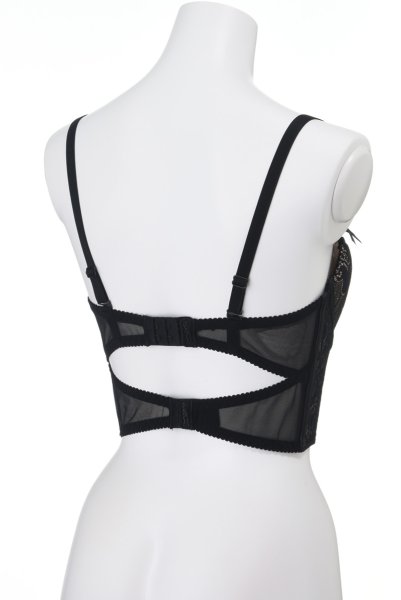 画像10: V-9031 | ロングブラジャー・デミカップ・1/2カップ | AxamiSexy アクサミセクシー| 輸入下着・高級ランジェリー   (10)