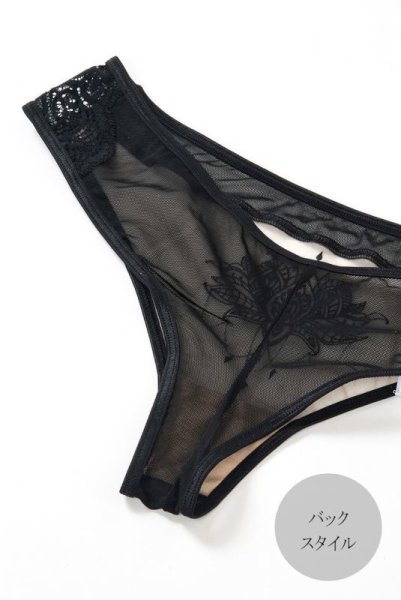 画像13: V-9035 | ブラジリアンショーツ・シースルー | AxamiSexy アクサミセクシー (13)