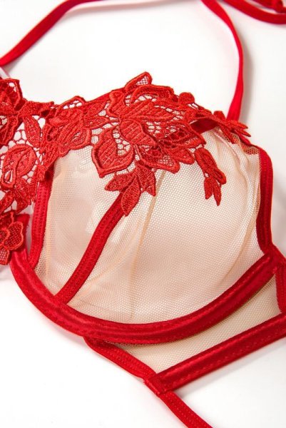 画像11: V-8861 | 一枚レースブラ・ノンパテッド・レースの裏地付き | AxamiSexy アクサミセクシー| ※メール便対象商品※輸入下着・高級ランジェリー   (11)