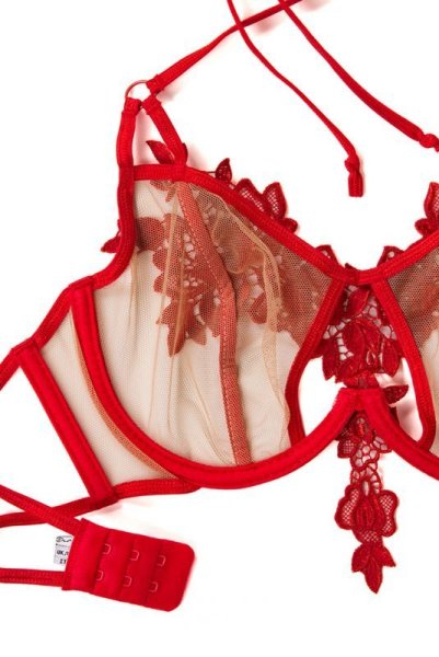 画像13: V-8861 | 一枚レースブラ・ノンパテッド・レースの裏地付き | AxamiSexy アクサミセクシー| ※メール便対象商品※輸入下着・高級ランジェリー   (13)