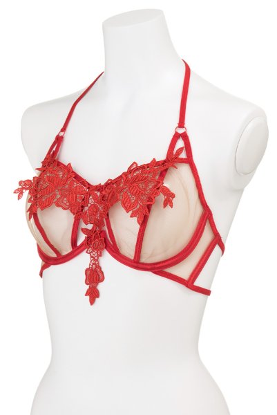 画像8: V-8861 | 一枚レースブラ・ノンパテッド・レースの裏地付き | AxamiSexy アクサミセクシー| ※メール便対象商品※輸入下着・高級ランジェリー   (8)