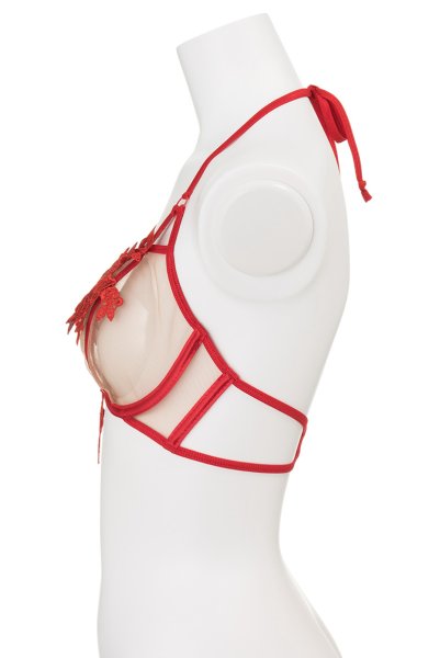 画像9: V-8861 | 一枚レースブラ・ノンパテッド・レースの裏地付き | AxamiSexy アクサミセクシー| ※メール便対象商品※輸入下着・高級ランジェリー   (9)