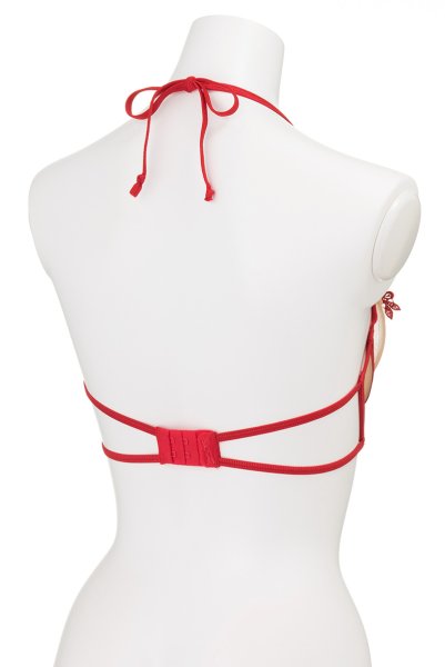 画像10: V-8861 | 一枚レースブラ・ノンパテッド・レースの裏地付き | AxamiSexy アクサミセクシー| ※メール便対象商品※輸入下着・高級ランジェリー   (10)