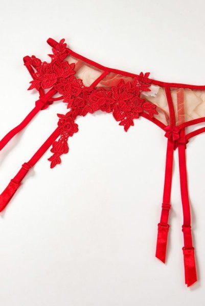 画像11: V-8862 | ガーターベルト・レッド・花柄レース | AxamiSexy アクサミセクシー| ※メール便対象※輸入下着・高級ランジェリー   (11)