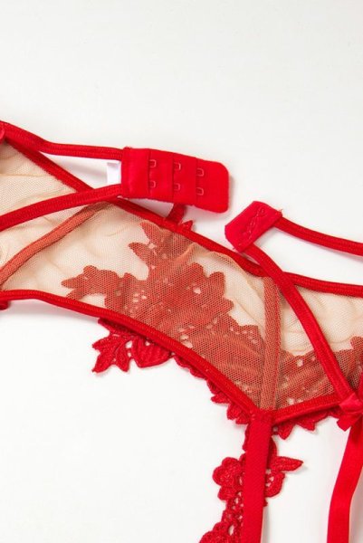 画像14: V-8862 | ガーターベルト・レッド・花柄レース | AxamiSexy アクサミセクシー| ※メール便対象※輸入下着・高級ランジェリー   (14)