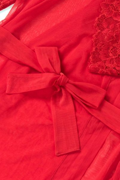 画像12: V-8860 | ナイトローブ・シースルー・ガウン | AxamiSexy アクサミセクシー| 輸入下着・高級ランジェリー   (12)