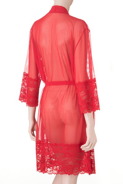 画像8: V-8860 | ナイトローブ・シースルー・ガウン | AxamiSexy アクサミセクシー| 輸入下着・高級ランジェリー   (8)