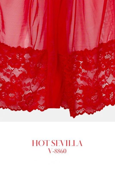 画像14: V-8860 | ナイトローブ・シースルー・ガウン | AxamiSexy アクサミセクシー| 輸入下着・高級ランジェリー   (14)