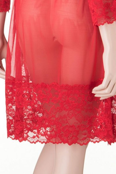 画像13: V-8860 | ナイトローブ・シースルー・ガウン | AxamiSexy アクサミセクシー| 輸入下着・高級ランジェリー   (13)