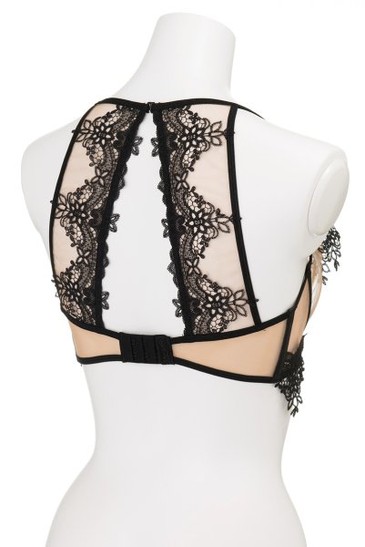 画像11: V-8901 | 一枚レースブラ・ノンパテッドブラ・レースの裏地付き・ワイヤー入り | AxamiSexy アクサミセクシー| ※メール便対象商品※輸入下着・高級ランジェリー   (11)