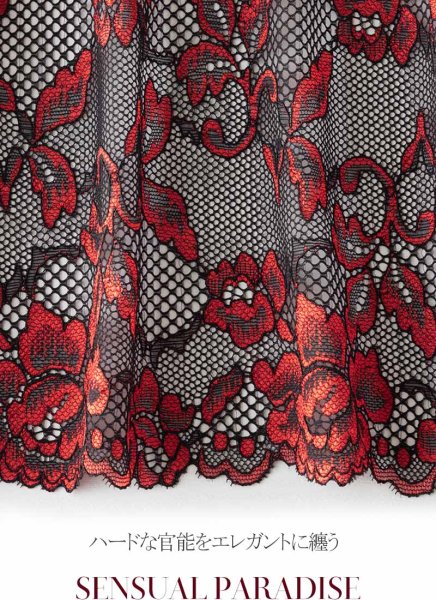 画像9: V-10014 | ガーターストッキング・網タイツ・シリコン付き | AxamiSexy アクサミセクシー (9)