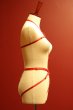 画像16: V-9806｜ボディハーネス・レッド｜AxamiSexy アクサミセクシー【サイズ交換NG・メール便対象】輸入下着・高級ランジェリー  (16)
