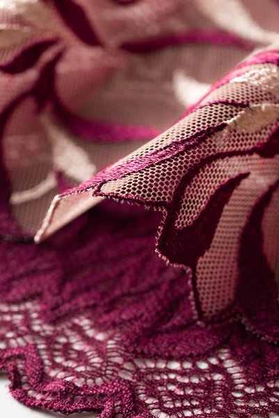 画像16: 【30%OFF】80Hサイズ｜JASMIN-burgundy-B150 | セミソフトブラ・大きいサイズ・バーガンディー・ワインレッド | ewabien エヴァビアン (16)