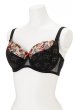 画像8: 【30%OFF】ROSANA-black-B150 | フルカップ・ワイヤーブラ・セミソフトブラ・大きいサイズ・B〜Kカップ・ブラック・レッド・レース | ewabien エヴァビアン (8)