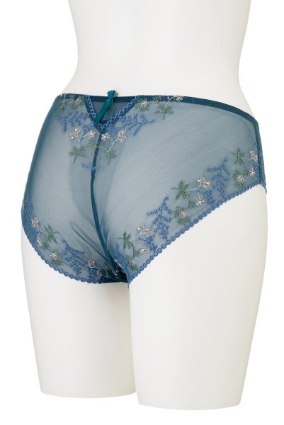 画像10: 【30%OFF】NADEEN-azure-C110 | ノーマルショーツ・シースルー・アズール・ブルー  | ewabien エヴァビアン (10)