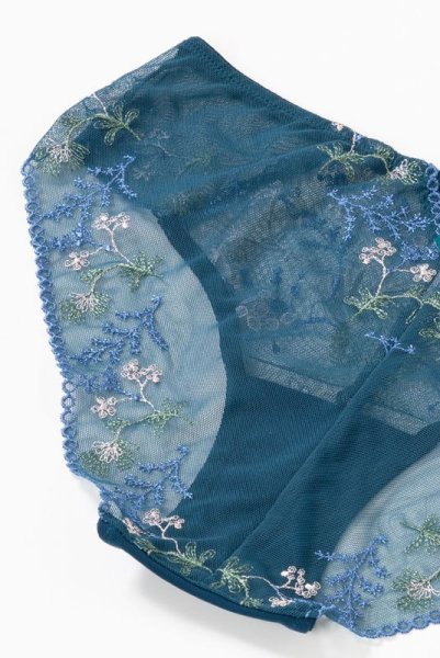 画像14: 【30%OFF】NADEEN-azure-C110 | ノーマルショーツ・シースルー・アズール・ブルー  | ewabien エヴァビアン (14)