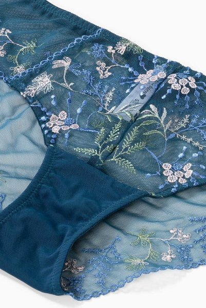 画像15: 【30%OFF】NADEEN-azure-C110 | ノーマルショーツ・シースルー・アズール・ブルー  | ewabien エヴァビアン (15)