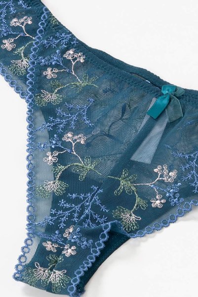 画像14: 【30%OFF】NADEEN-azure-C322 | ブラジリアンタンガ・Tバック・シースルー・アズール・ブルー  | ewabien エヴァビアン (14)