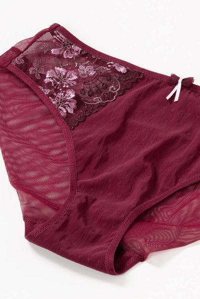 画像12: 【30%OFF】NORA-cherry-C110 | ブリーフ・シースルー・ワインレッド・パープル  | ewabien エヴァビアン (12)