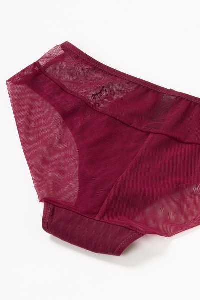 画像13: 【30%OFF】NORA-cherry-C110 | ブリーフ・シースルー・ワインレッド・パープル  | ewabien エヴァビアン (13)