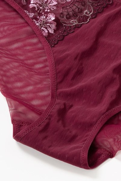 画像14: 【30%OFF】NORA-cherry-C110 | ブリーフ・シースルー・ワインレッド・パープル  | ewabien エヴァビアン (14)