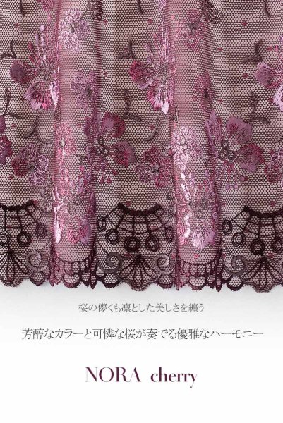 画像16: 【30%OFF】NORA-cherry-C200 | タンガ・シースルー・ワインレッド・パープル  | ewabien エヴァビアン (16)