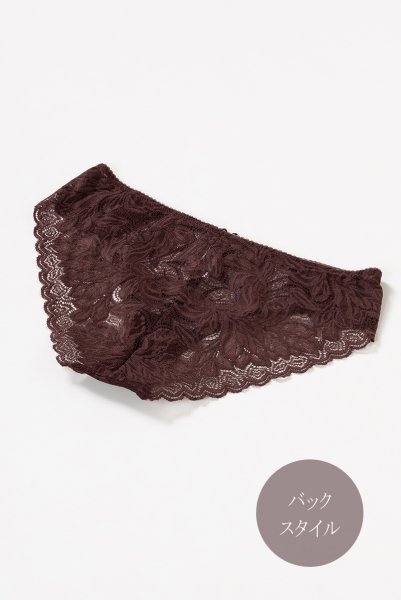 画像11: 【30%OFF】在庫限り｜S.Mサイズ｜JASMIN-brown-C110 | ノーマルショーツ | ewabien エヴァビアン (11)