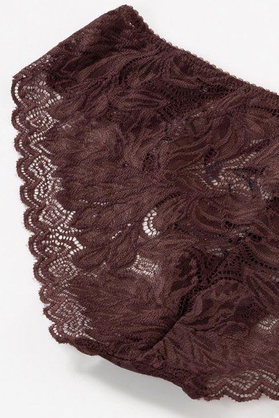 画像13: 【30%OFF】在庫限り｜S.Mサイズ｜JASMIN-brown-C110 | ノーマルショーツ | ewabien エヴァビアン (13)