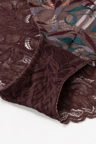 画像14: 【30%OFF】在庫限り｜S.Mサイズ｜JASMIN-brown-C110 | ノーマルショーツ | ewabien エヴァビアン (14)