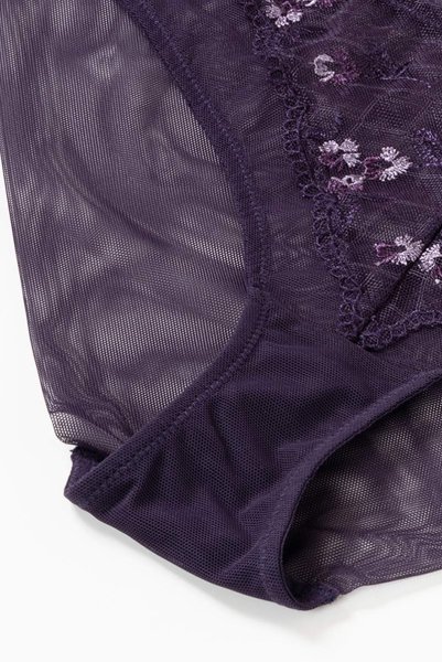 画像14: 【30%OFF】TAMAL-violet-C100 | ブリーフ・シースルー・パープル | ewabien エヴァビアン (14)