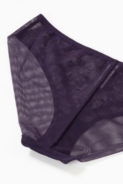 画像15: 【30%OFF】TAMAL-violet-C100 | ブリーフ・シースルー・パープル | ewabien エヴァビアン (15)