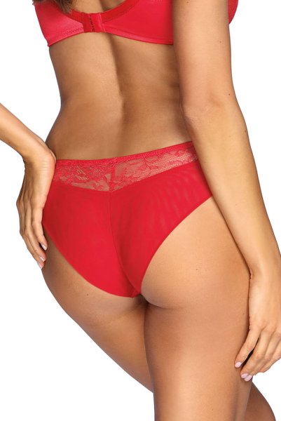 画像2: 【30%OFF】AISHA-red-C511 | ブラジリアンショーツ・レッド・シースルー  | ewabien エヴァビアン (2)