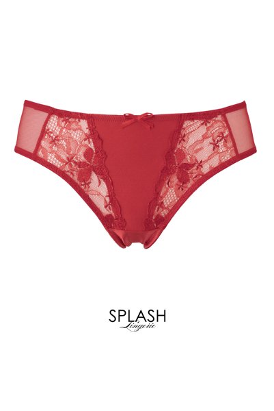 画像7: 【30%OFF】AISHA-red-C511 | ブラジリアンショーツ・レッド・シースルー  | ewabien エヴァビアン (7)